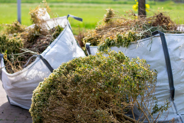 Best Shed Removal  in Hewlett Harbor, NY